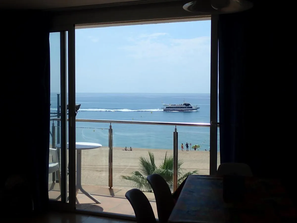 Sant Jordi Plaza Espana Lloret de Mar